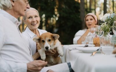 How do Animals Help the Elderly? Tips for Choosing a Pet for Seniors